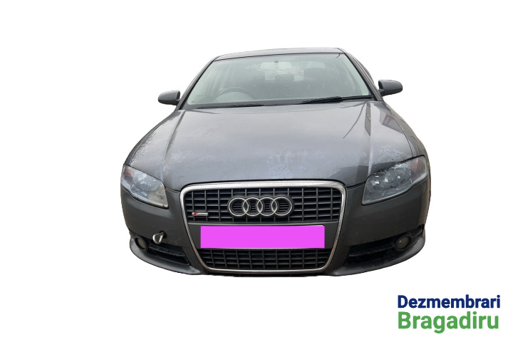 Scut spate dreapta Cod: 8E0825216R Audi 