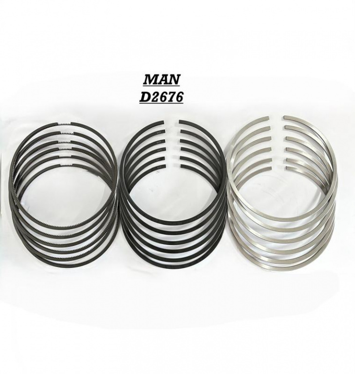 Segmenti MAN TGX