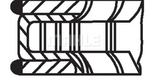 Segmenti piston VW POLO (6N2) (1999 - 2001) M