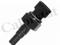 Senzor sonda temperatura apa CHEVROLET CRUZE J300 VERNET WS2586