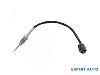 Senzor temperatura gaze dpf BMW Seria 3 (2006->) [E92] 13627794723