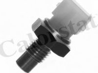 Senzor temperatura lichid de racire RENAULT MEGANE Scenic (JA0/1_) - OEM - CALORSTAT by Vernet: WS2584 - Cod intern: W02063130 - LIVRARE DIN STOC in 24 ore!!!