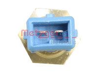 Senzor temperatura ulei 0905031 METZGER pentru Alfa romeo 155 Ford Escort Fiat Panda Fiat Tipo Fiat Croma Fiat Tempra Fiat Ducato Fiat Punto Fiat Coupe Fiat Cinquecento Alfa romeo 145 Opel Omega Opel Vectra Opel Calibra Alfa romeo 146 Fiat Brava Fiat