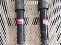 Set 2 Amortizoare Telescoape Spate Renault Scenic 2