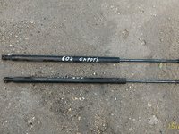 Set 2 Telescoape capota Peugeot 607