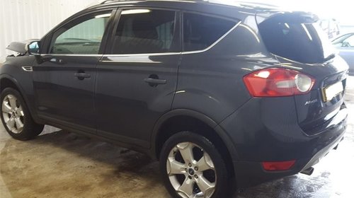 Set amortizoare spate Ford Kuga 2009 SUV 2.0 TDCi