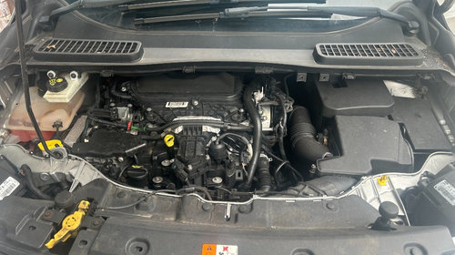 Set amortizoare spate Ford Kuga 2014 2 automata 2.0 tdci