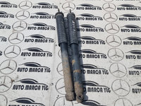 Set amortizoare spate Mercedes B class W245