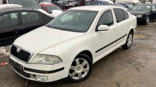 Set amortizoare spate Skoda Octavia 2 2008 HA