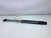 Set amortizor haion Mercedes Clasa B (W245) [Fabr 2005-2011] A1699801064 A1699800964