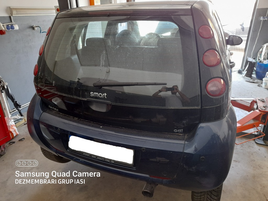 Set arcuri fata Smart Forfour 2004 Hatch