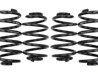 SET ARCURI SPORT VW PASSAT B5.5 (3B3) EIBACH E10-85-002-06-22 2000 2001 2002 2003 2004 2005