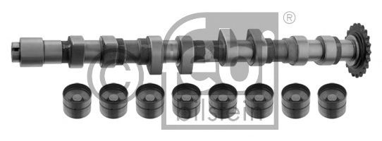 Set ax cu came AUDI A4 (8E2, B6) (2000 - 2004) FEB