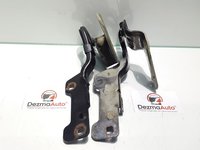 Set balamale capota fata, Renault Clio 3 combi