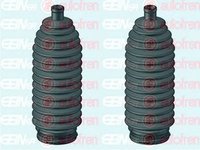 Set burduf directie NISSAN QASHQAI QASHQAI +2 J10 JJ10 SEIN D9260C