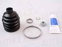 Set burduf planetara MERCEDES-BENZ A-CLASS W169 AUTEX 504173