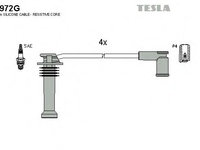 Set cablaj aprindere FORD C-MAX II (DXA/CB7, DXA/CEU) (2010 - 2020) TESLA T972G