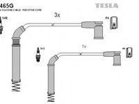 Set cablaj aprindere FORD STREET KA (RL2) (2003 - 2005) TESLA T465G