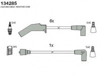 Set cablaj aprindere KIA RIO combi (DC), KIA RIO limuzina (DC_) - HCO 134285