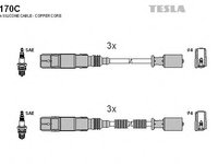 Set cablaj aprindere SMART FORTWO Cabrio (450) (2004 - 2007) TESLA T170C