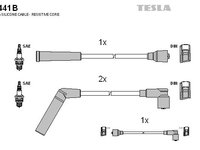 Set cablaj aprindere TESLA T441B