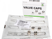 Set Capacele Ventil Oe Skoda 000071215C