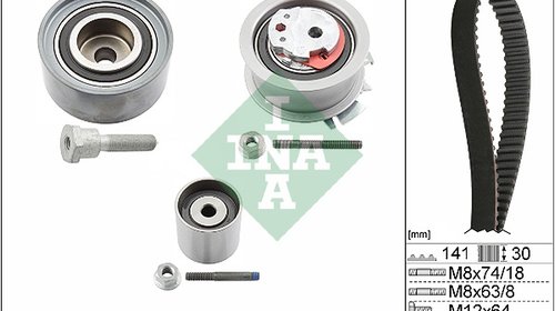 Set curea de distributie (530046310 INA) AUDI