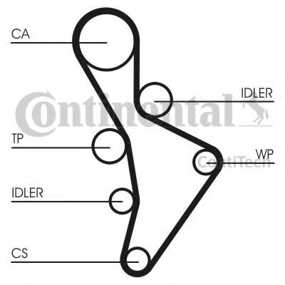 Set curea de distributie AUDI A4 Cabriolet (8H7, B