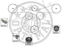 Set curea de distributie AUDI A4 limuzina (8D2, B5), AUDI A6 limuzina (4A, C4), AUDI A8 limuzina (4D2, 4D8) - OPTIMAL SK-1636