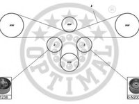 Set curea de distributie AUDI A4 limuzina (8D2, B5), AUDI A6 limuzina (4A, C4), AUDI A8 limuzina (4D2, 4D8) - OPTIMAL SK-1383