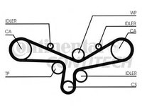 Set curea de distributie AUDI A8 limuzina (4D2, 4D8), AUDI A6 limuzina (4B2, C5), AUDI A6 Avant (4B5, C5) - CONTITECH CT920K5