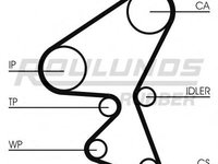 Set curea de distributie Citroen XSARA (N1), Citroen XSARA Estate (N2), Citroen XSARA cupe (N0) - ROULUNDS RUBBER RR1079K2