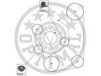 Set curea de distributie MITSUBISHI DELICA bus (P0_W, P1_W, P2_W), MITSUBISHI SAPPORO Mk III (E16A), MITSUBISHI SHOGUN II (V3_W, V2_W, V4_W) - OPTIMAL