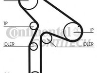 Set curea de distributie RENAULT LAGUNA I I (B56_, 556_), RENAULT LAGUNA I Estate (K56_), RENAULT ESPACE Mk III (JE0_) - CONTITECH CT921K1