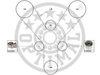 Set curea de distributie TOYOTA PRADO (UZJ100), LEXUS GS limuzina (UZS161, JZS160), LEXUS LS limuzina (UCF20) - OPTIMAL SK-1703