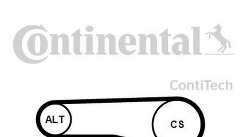 Set Curea transmisie BMW 3 cupe E36 CONTITECH