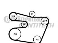 Set curea transmisie cu caneluri BMW 3 Cabriolet (E46) - Cod intern: W20262737 - LIVRARE DIN STOC in 24 ore!!!