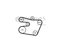 Set curea transmisie cu caneluri BMW 3 (E46) 1998-2005 #2 6PK1538K1