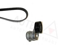 Set curea transmisie cu caneluri BMW 5 limuzina (E39), BMW 5 Touring (E39), BMW 3 limuzina (E46) - AUTEX 702384