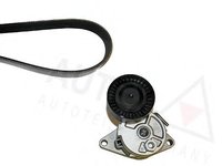 Set curea transmisie cu caneluri BMW 7 limuzina (E38), BMW 5 limuzina (E39), BMW 5 Touring (E39) - AUTEX 702400