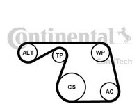 Set curea transmisie cu caneluri FIAT ALBEA (178_) (1996 - 2009) CONTITECH 6PK1310K1