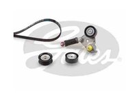 Set curea transmisie cu caneluri Ford Mondeo, Transit, Jaguar X-type