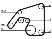 Set curea transmisie cu caneluri MERCEDES-BENZ CLK C208 CONTITECH 6PK2390D1