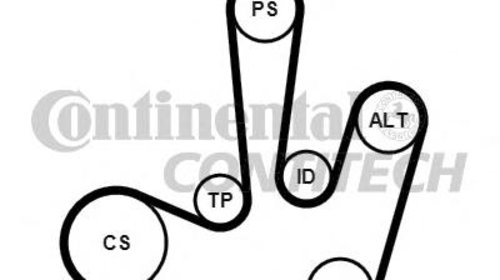 Set curea transmisie cu caneluri MITSUBISHI C