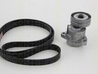 Set curea transmisie cu caneluri OPEL OMEGA B combi (21_, 22_, 23_), OPEL ASTRA F (56_, 57_), OPEL ASTRA F Cabriolet (53_B) - TRISCAN 8642 10005