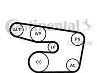 Set curea transmisie cu caneluri OPEL ZAFIRA A (F75_) (1999 - 2005) CONTITECH 6PK1873K3