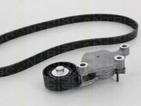 Set curea transmisie cu caneluri PEUGEOT 206 hatchback (2A/C), PEUGEOT 206 CC (2D), PEUGEOT 307 (3A/C) - TRISCAN 8642 10002