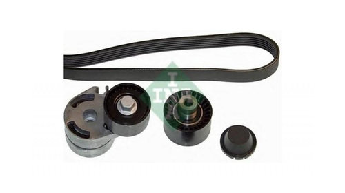 Set curea transmisie cu caneluri Peugeot 407 