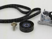 Set curea transmisie cu caneluri PEUGEOT 806 (221), Citroen SYNERGIE (22, U6), FIAT ULYSSE (220) - TRISCAN 8642 10007