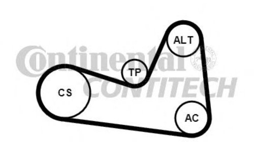 Set curea transmisie cu caneluri RENAULT CLIO